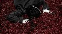 «به باد هم بگو» برنده جشنواره فیلم مادرید شد