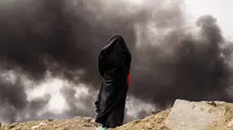 جدیدترین خبرها از وضعیت خلبانان گمشده آمریکایی/ تهاجم دوباره به محوطه نیروگاه اتمی بوشهر/حمله دشمن به منطقه ویژه پتروشیمی ماهشهر + فیلم و عکس
