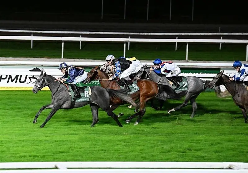 پیست اسبدوانی فرانسه در تصاحب دو اسب ایرانی!