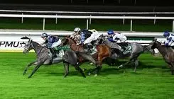 پیست اسبدوانی فرانسه در تصاحب دو اسب ایرانی!