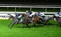 پیست اسبدوانی فرانسه در تصاحب دو اسب ایرانی!