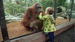 بازدید از باغ وحش ارم رایگان شد