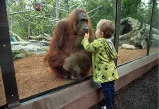 بازدید از باغ وحش ارم رایگان شد