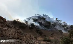 انجام عملیات اطفای حریق در جنگل‌های الیت با هواپیمای ایلوشن+ فیلم