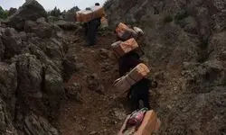  معافیت یک‌ساله مالیاتی واردات کولبری و ملوانی پایان یافت