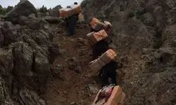  تصمیم جدید برای ترخیص کالاهای وارداتی از مسیر کولبری و ملوانی