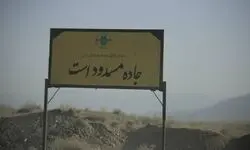 «بازگشت بهرام» در جست‌وجوی پلنگ ایرانی است/ روایت‌های بومی، جهانی‌تر از شعارها هستند