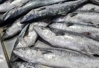 ممنوعیت جدید در خلیج فارس اعلام شد