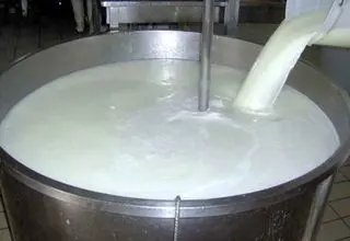 رشد ۳۰ درصدی صادرات محصولات لبنی در دو ماه گذشته