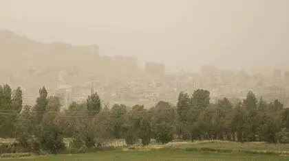 آلودگی هوا به جنگل‌های هیرکانی هم رسیده است
