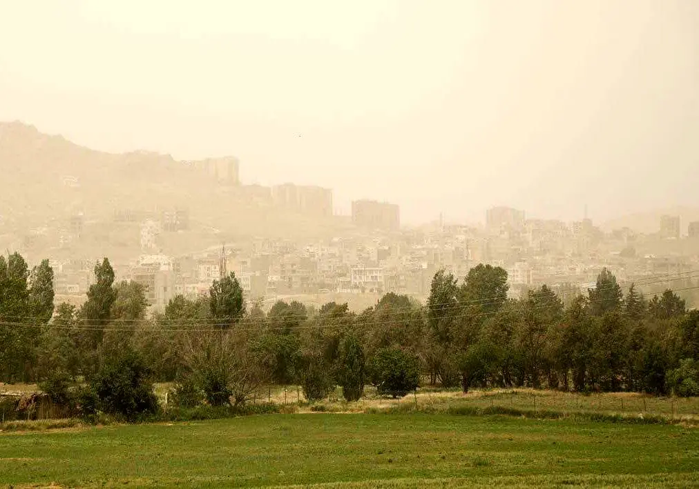 آلودگی هوا به جنگل‌های هیرکانی هم رسیده است