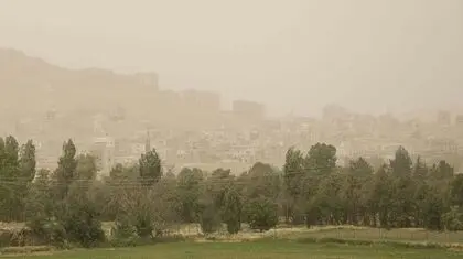 آلودگی هوا به جنگل‌های هیرکانی هم رسیده است