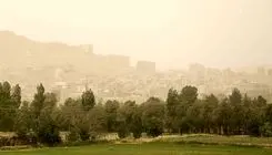 آلودگی هوا به جنگل‌های هیرکانی هم رسیده است