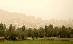 آلودگی هوا به جنگل‌های هیرکانی هم رسیده است