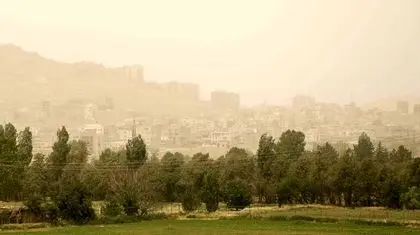 آلودگی هوا به جنگل‌های هیرکانی هم رسیده است