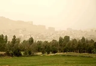 آلودگی هوا به جنگل‌های هیرکانی هم رسیده است