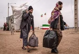 سیاست مهاجرتی هوشمندانه 
