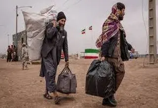 سیاست مهاجرتی هوشمندانه 