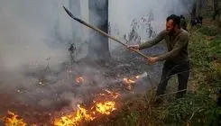 آخرین وضعیت جنگل الیت/ آتش مهار شده اما تمام نشده