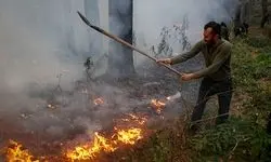 آخرین وضعیت جنگل الیت/ آتش مهار شده اما تمام نشده