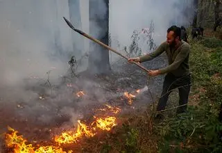 آخرین وضعیت جنگل الیت/ آتش مهار شده اما تمام نشده