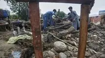ابزار همدردی ایران با دولت و ملت پاکستان 