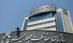 توضیح محیط زیست درباره تعداد لاشه‌های فوک خزری در سواحل ایران
