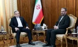 سفیر ایران در تاجیکستان با عراقچی دیدار کرد