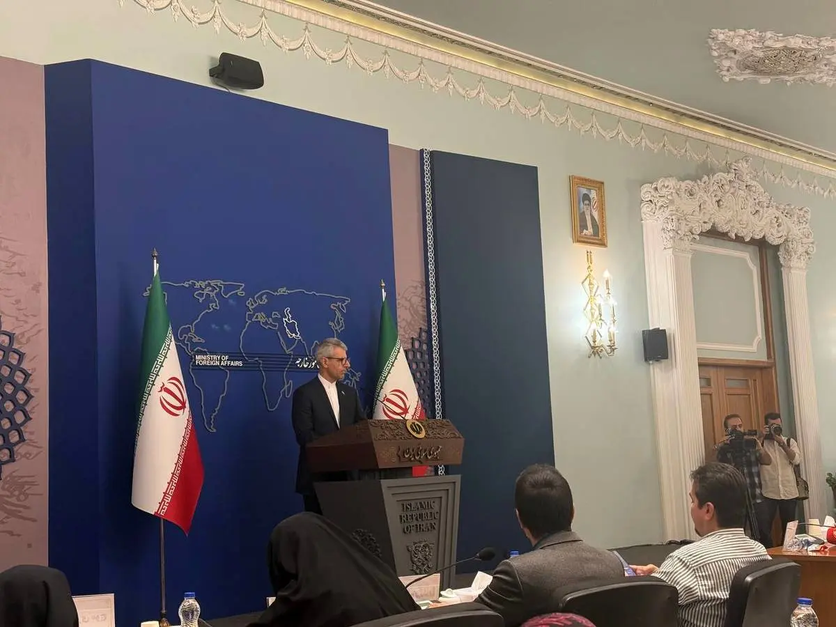 توضیحات بقائی درباره نشست شرم الشیخ: ابعاد مثبت و منفی را سنجیدیم