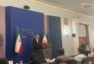 توضیحات بقائی درباره نشست شرم الشیخ: ابعاد مثبت و منفی را سنجیدیم