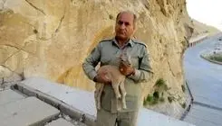 اقدامات انجام شده برای دستگیری قاتل یک دیده‌بان در منطقه خائیز