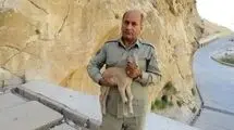 اقدامات انجام شده برای دستگیری قاتل یک دیده‌بان در منطقه خائیز