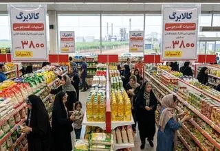 قیمت گوشت گوسفند، گوساله و مرغ/ جدول