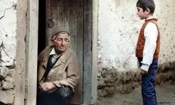 ۵ اثر ماندگار سینمای ایران در 15 سالن اکران می‌شوند