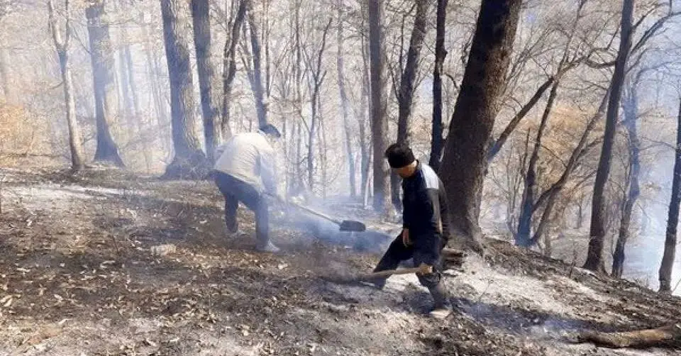 آتش‌سوزی جنگل‌ها و مراتع استان گلستان مهار شد