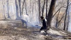 آتش‌سوزی جنگل‌ها و مراتع استان گلستان مهار شد