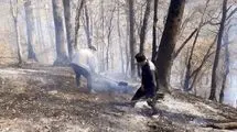 آتش‌سوزی جنگل‌ها و مراتع استان گلستان مهار شد