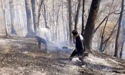 آتش‌سوزی جنگل‌ها و مراتع استان گلستان مهار شد