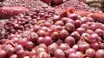 صادرات ۳۳۰۰ تن محصولات کشاورزی از آبادان به کویت