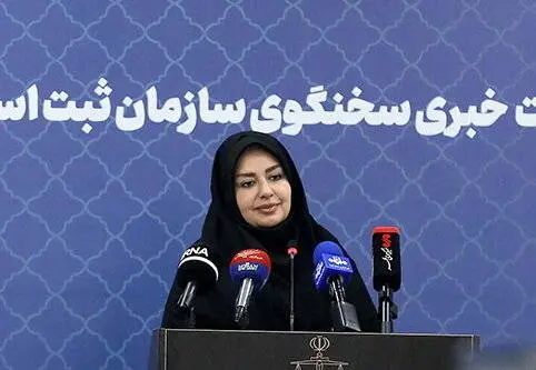 کلاهبرداری با یک سامانه خیالی