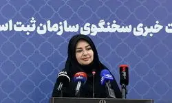 کلاهبرداری با یک سامانه خیالی