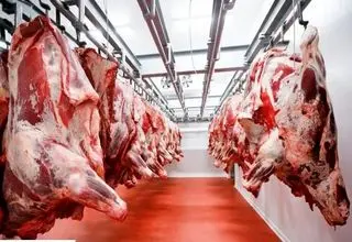 پیش بینی خطرناک | قیمت گوشت تا یک ماه آینده نجومی می شود