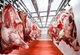 پیش بینی خطرناک | قیمت گوشت تا یک ماه آینده نجومی می شود