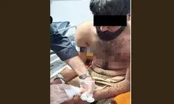 جنایت گانگستری فقط برای یک گوسفند