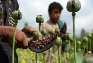  جاساز عجیب شیریه تریاک از یک سوداگر مواد مخدر کشف شد