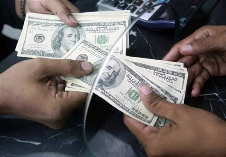 قیمت یورو و سایر ارزها اعلام شد؛ دلار  ۱۱۹ هزار و ۸۹۵ تومان فروخته شد