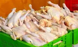 قیمت هرکیلو مرغ گرم ۸۳ تا ۹۳ هزارتومان اعلام شد