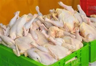 قیمت هرکیلو مرغ گرم ۸۳ تا ۹۳ هزارتومان اعلام شد