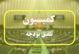 بند مربوط به وام ازدواج و فرزندآوری به کمیسیون تلفیق ارجاع شد       