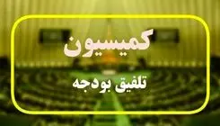 بند مربوط به وام ازدواج و فرزندآوری به کمیسیون تلفیق ارجاع شد       
